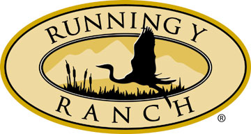 Running Y Logo