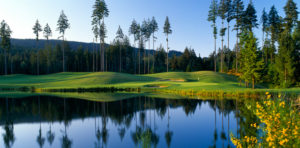 Gold Mountain Golf Course