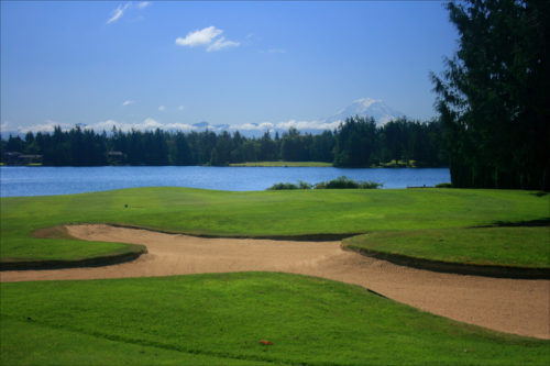 Tapps Island GC