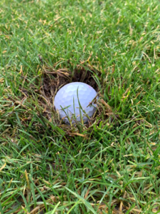 Golf ball embedded in grass