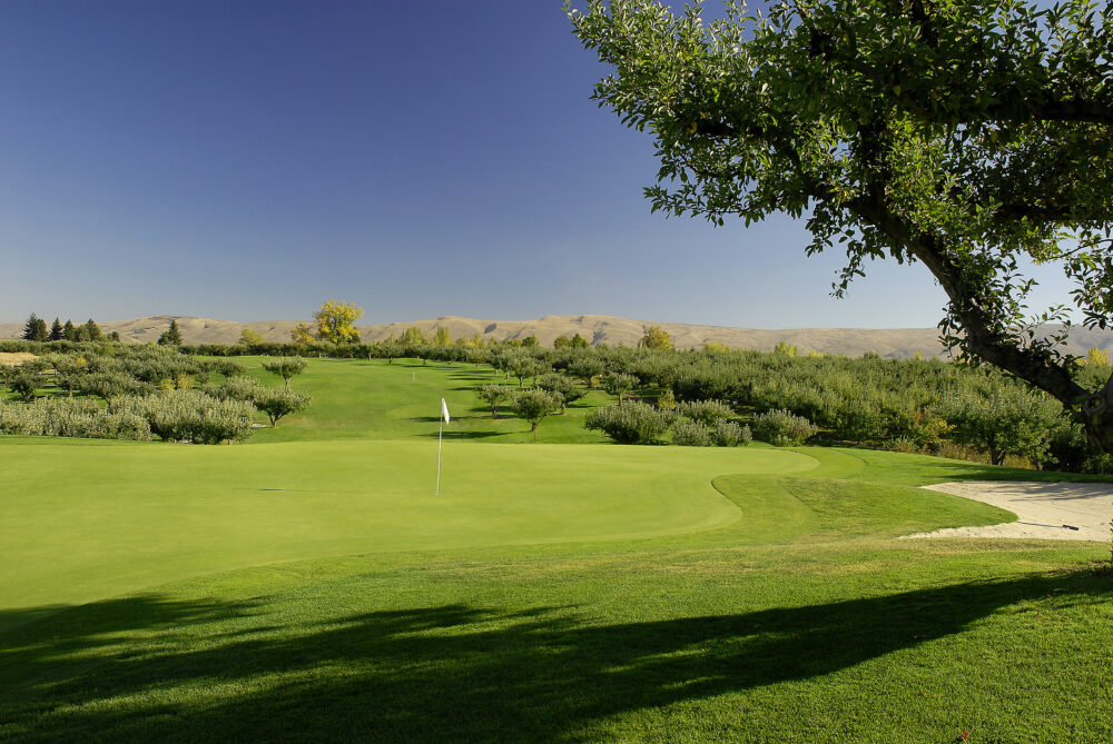 Fall Golf at Apple Tree - Pacific Northwest Golf Association