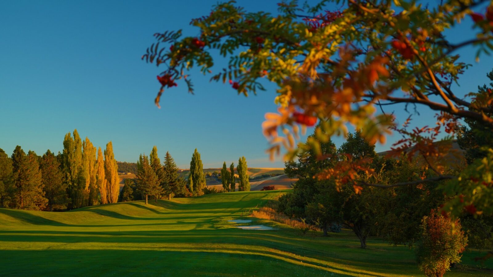 Vandal Golf Course Recognized by Pacific Northwest Golfer Magazine ...